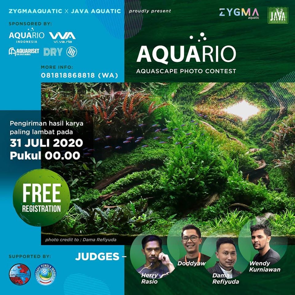 Aquario Photo Contest